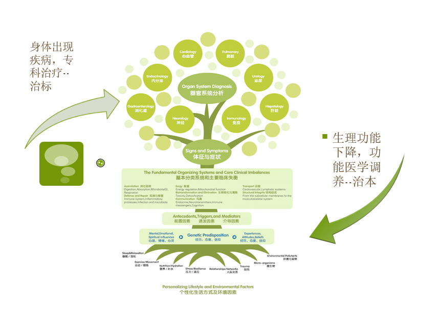 功能医学